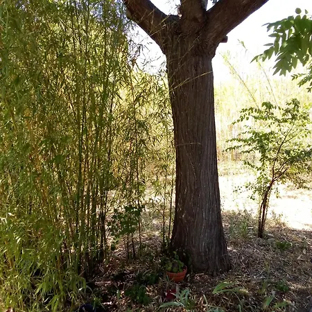 Logis Avec Vue Sur L'hérault Pour 4 Personnes à Aniane
